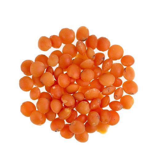 Lentilles corail bio - 1